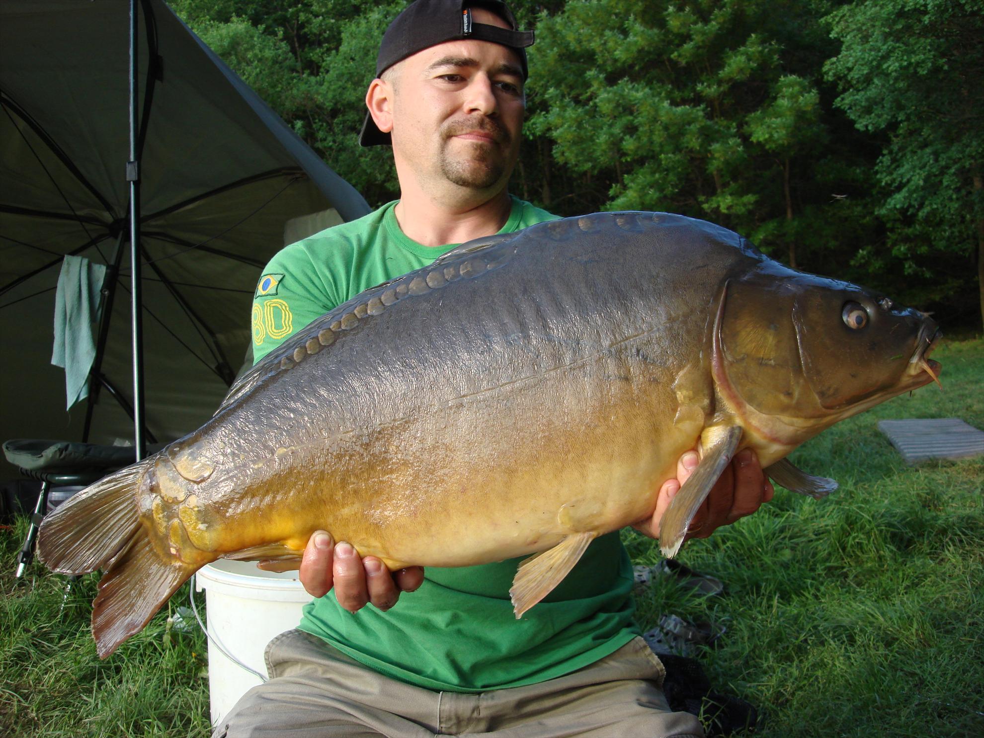 Cetariu Mai 2013 - dsc06095.JPG